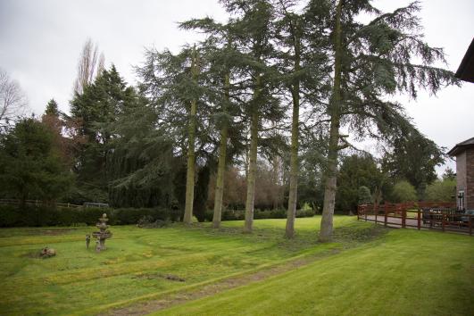 Ashleigh Court Care Home