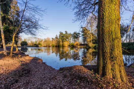 Woodcote Hall Residential Care Home